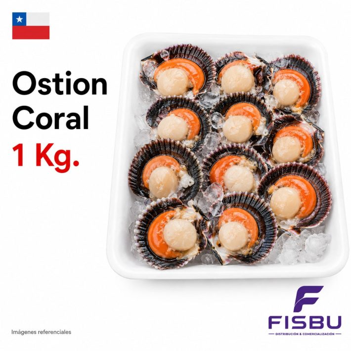 Ostion Coral 1kg