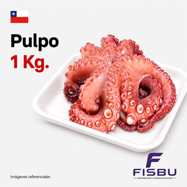 Pulpo 1 Kg